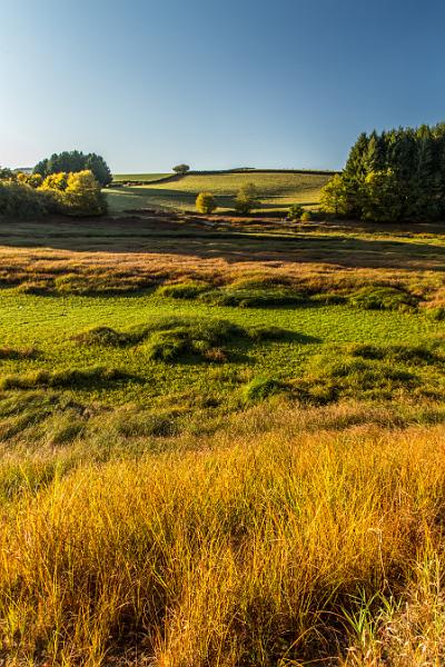 2017_10_14_lac de Chaumecon (0078).jpg - Lac de Chaumecon